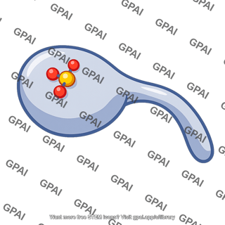 Myosin head with phosphate