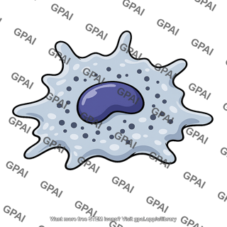 Macrophage activated