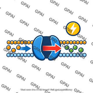 Active transport