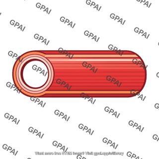 Normal artery