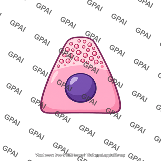 Pancreatic cell
