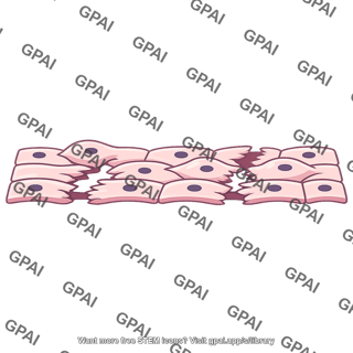 Damaged endothelium