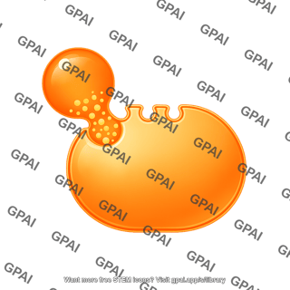 Exocytosis x large circle membrane large vesicle