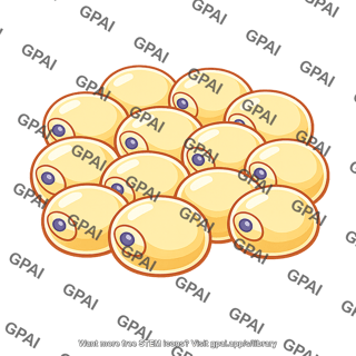 Adipose cells