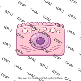 Milk secreting epithelial cell