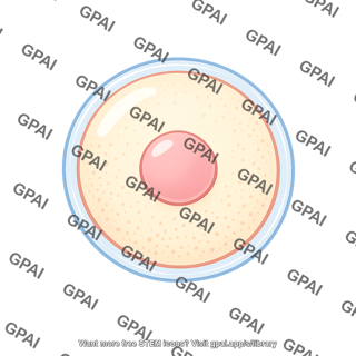 Ovum