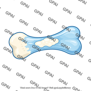 Fetal bone ossifying