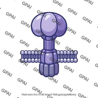Atp synthase