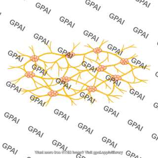 Submucosal nerve plexus