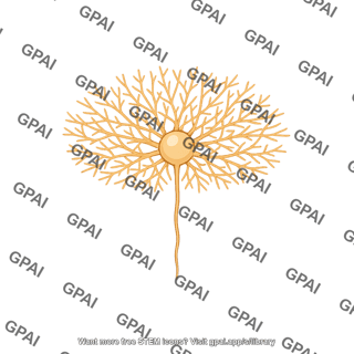 Cortical neuron layer iv