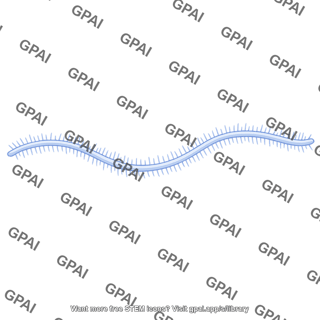 Proteoglycan filament
