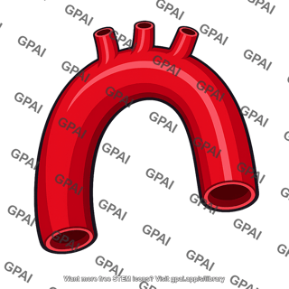 Aorta arch