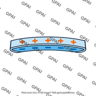 Membrane polarized