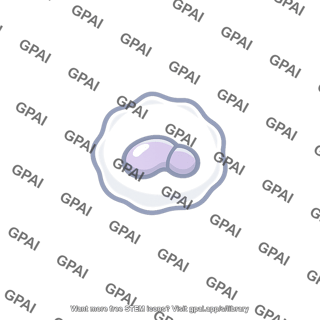 White blood cell