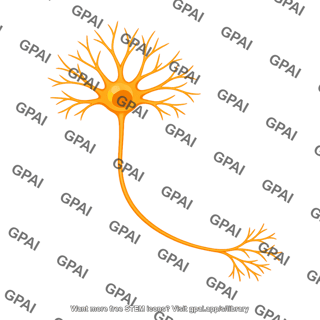Multipolar neuron