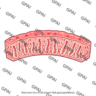 Uterine endometrium