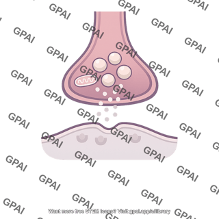Synapse glutamate unresponsive