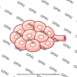 Mucous gland