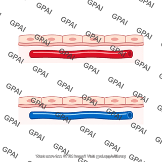 Submucosal vessel