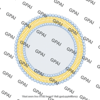 Circle membrane phospholipid bilayer medium filled