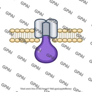 Membrane protein with intracellular domain