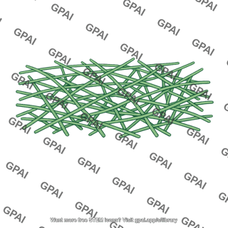 Actin network