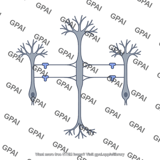 Lateral inhibition