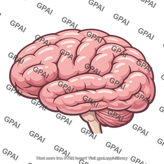 Human brain