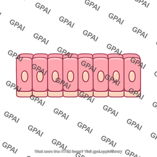 Cell layer