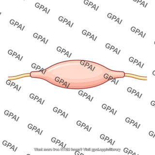 Nodose ganglion