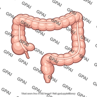 Large intestine