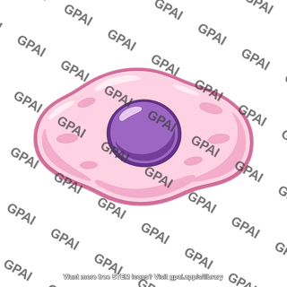 Endometrial stromal cell