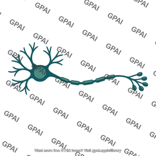 Neuron