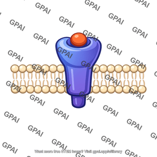 Cell membrane hormone receptor complex