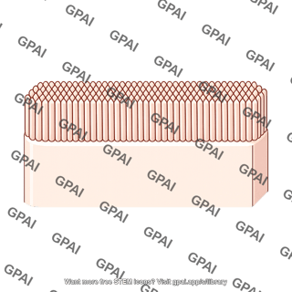 Brush border