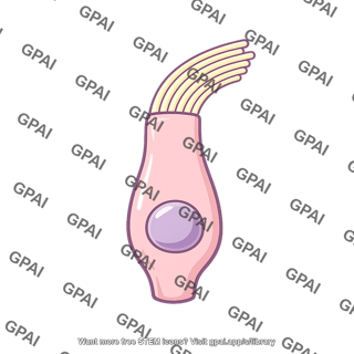 Hair cell bent