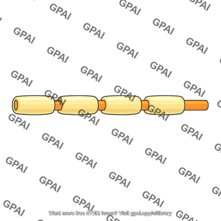 Type ab nerve fiber
