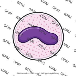 Band neutrophil