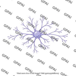 Stellate cell