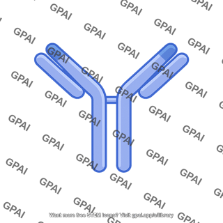 Antibody molecule