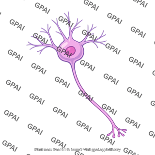 Neuron