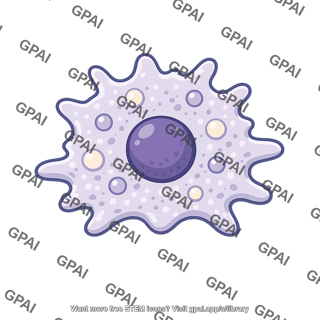 Phagocytic cell