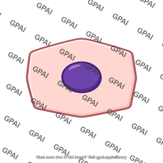 Generic epithelial cell