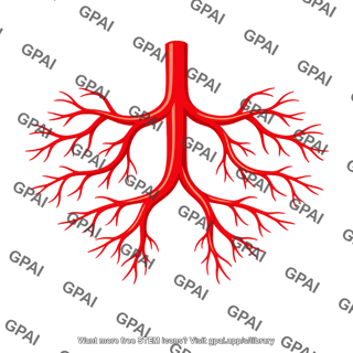 Arterial system