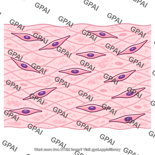 Endometrial stroma