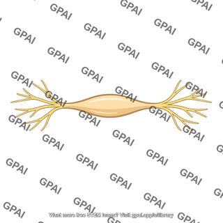 Hypogastric ganglion