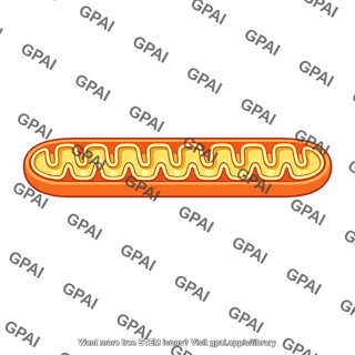Hot dog with mustard