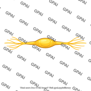 Sympathetic ganglion