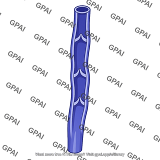Leg vein