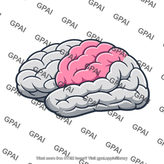 Lateral parietal cortex